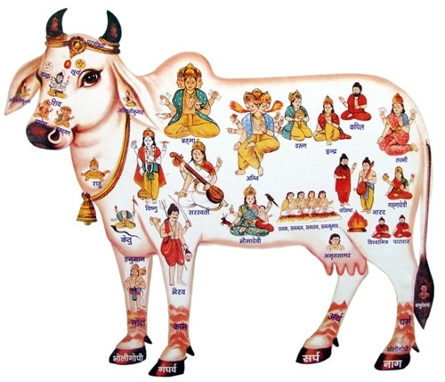 Nandi Devi 1