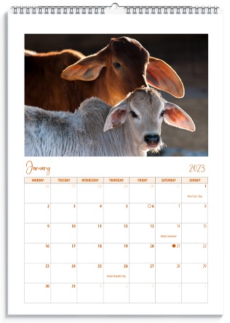 Gaushala Calendar January spiral bound