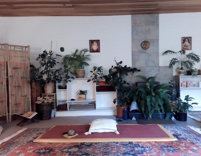 IDY2017 Edinburgh Ashram
